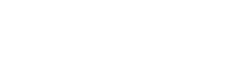 websoft Logo
