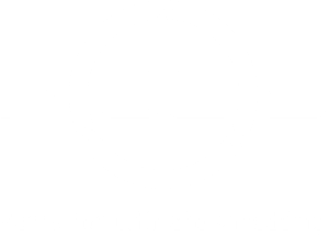 PULS-Logo_all-white