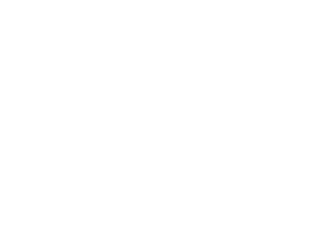 PULS-Logo_all-white